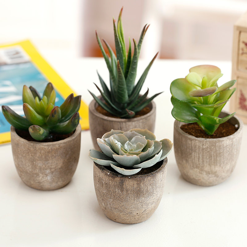 Primrue 4 Piece 0.75" Artificial Succulent in Pot Set & Reviews Wayfair